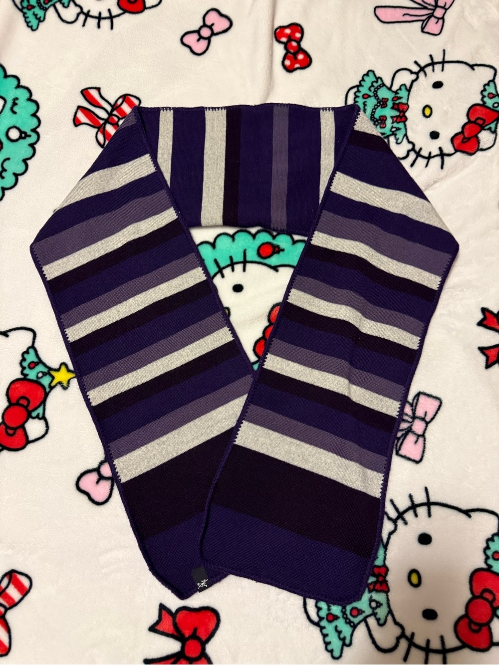 ARC’TERYX Striped Purple Wool Mix Knit Scarf